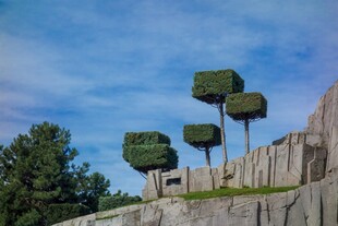 独特空中绿植造型景观
