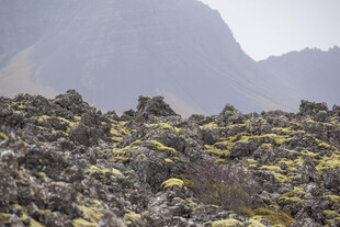 山间覆苔岩石景观