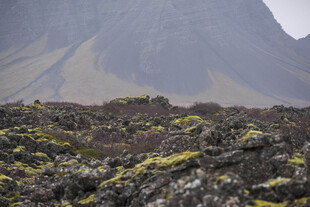 火山地貌的苔原景观