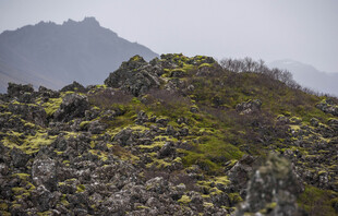 山间景致