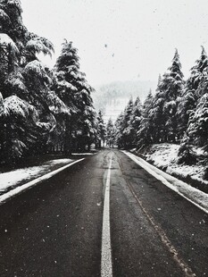 冬日雪覆公路静谧美景