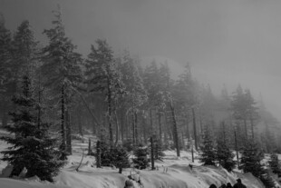 雪覆山林雾气氤氲的景致