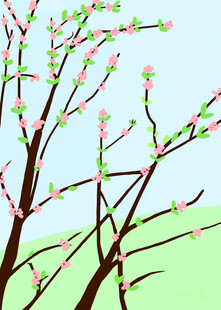 春日樱花枝景