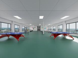 室内乒乓球场地设施展示