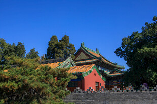 中式古建筑绿树环绕美景