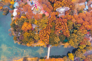 秋日湖畔斑斓树林美景