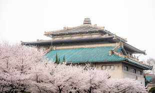 樱花簇拥下的古老建筑