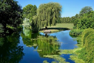宁静河畔风景