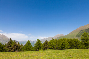 草原山峦蓝天美景