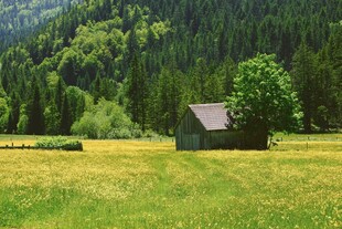 山间草地中的静谧小屋