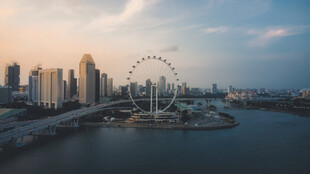 城市河畔摩天轮美丽景致