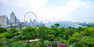 新加坡城市与绿植景观