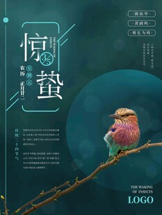 惊蛰海报