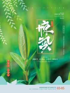 惊蛰海报 