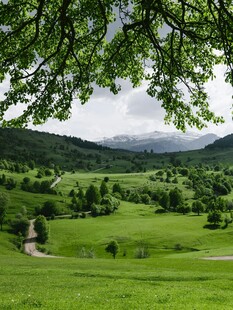 绿野山间景悠然入画来