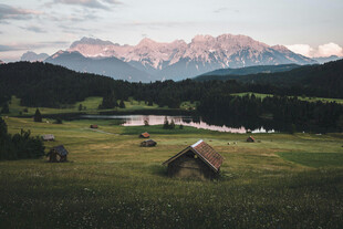 山间草甸风景