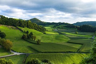 田园绿野风光美景