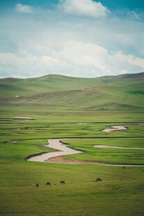 草原风光蜿蜒河流穿绿地