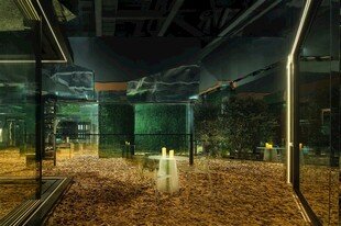 室内绿植景观空间展示