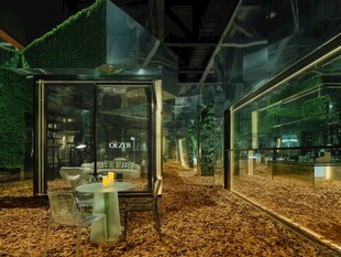 夜晚静谧的玻璃房与落叶场景