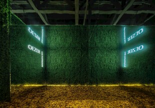 绿色霓虹墙艺术空间展示