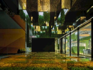 室内绿植环绕的梦幻空间