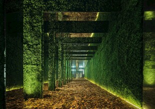 绿植环绕的梦幻走廊空间