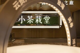 小茶栽堂茶室景观