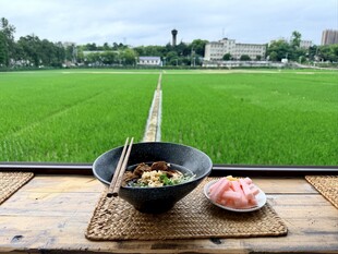 袁隆平实验稻田基地