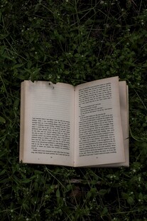 草地上翻开的古老书籍