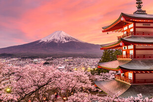 富士山下樱花与古建美景