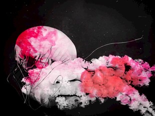 梦幻花卉与月景组合