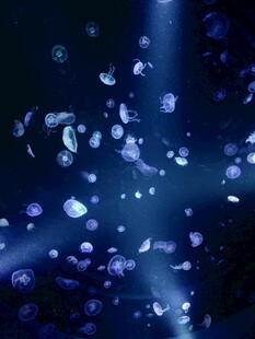 梦幻蓝色漂浮光斑场景