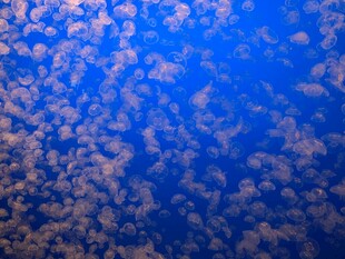 蓝色背景上的斑驳纹理