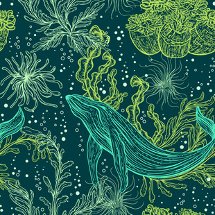海洋生物与植物精美插画