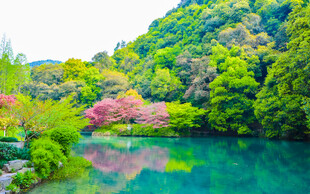 青山绿水间的秀丽湖景