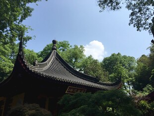 中式古亭隐于葱郁林间