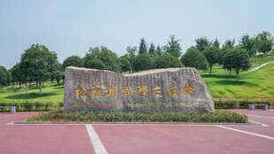 校园石碑景