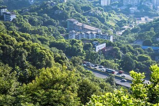 山间村落隐于葱郁绿意中
