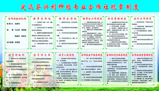 种植专业合作社规章制度