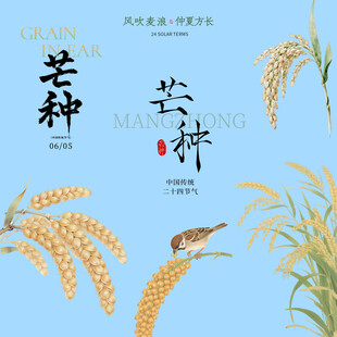 芒种素材