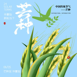 芒种素材