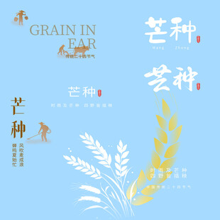 芒种素材