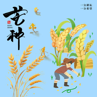 芒种素材