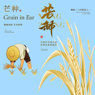 芒种素材