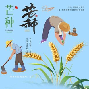 芒种素材