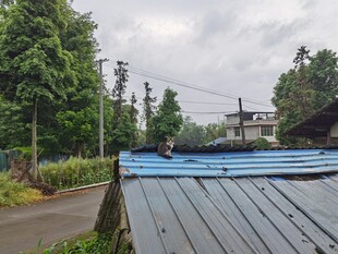屋顶视角下的户外景致