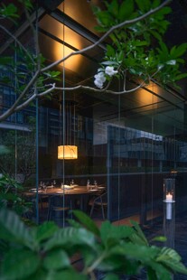 室内绿植环绕的雅致空间