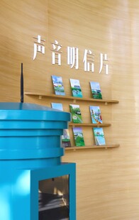 蓝色唱片架陈列音乐唱片