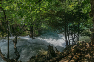 山林间湍急溪流的美景
